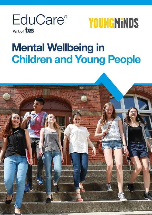Mental Wellbeing in Children and Young People